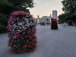 OnePlus&nbsp;Nord 2 против iPhone SE и Samsung Galaxy A52 в битве камер